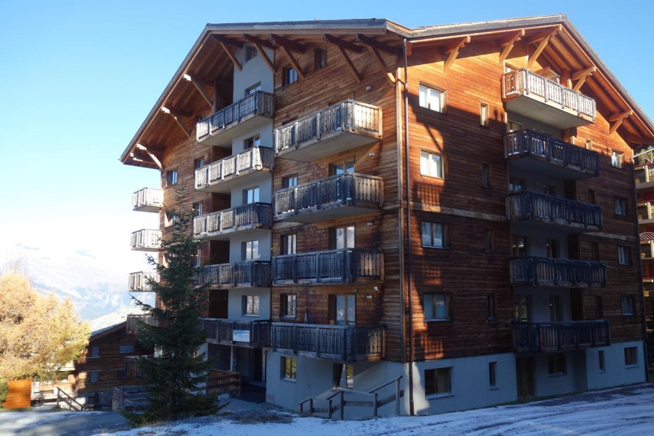 Pracondu 1 Outdoor & Fun Appartement 1 Chambre Superieur Avec Balcon By Alpvision Residences Nendaz Zewnętrze zdjęcie
