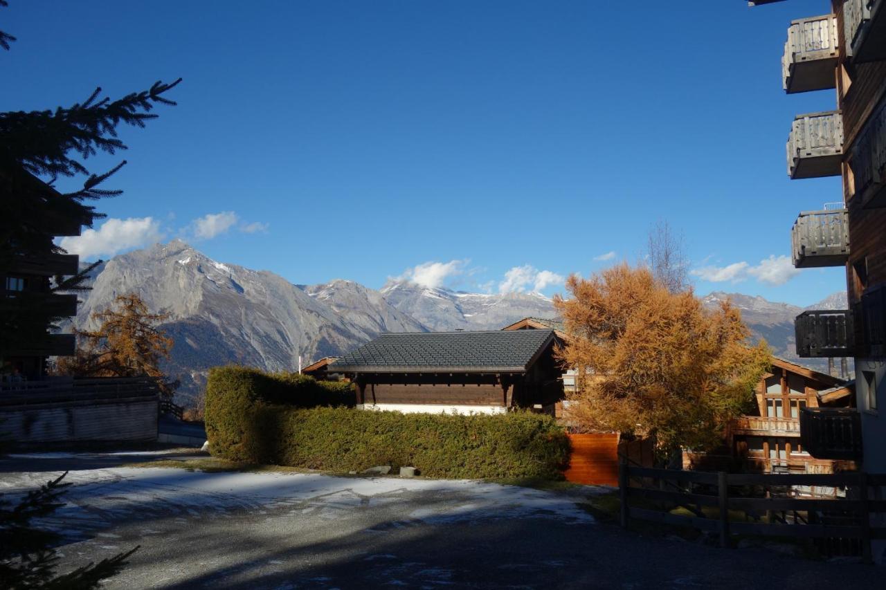 Pracondu 1 Outdoor & Fun Appartement 1 Chambre Superieur Avec Balcon By Alpvision Residences Nendaz Zewnętrze zdjęcie