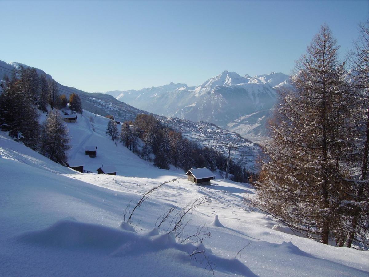 Pracondu 1 Outdoor & Fun Appartement 1 Chambre Superieur Avec Balcon By Alpvision Residences Nendaz Zewnętrze zdjęcie