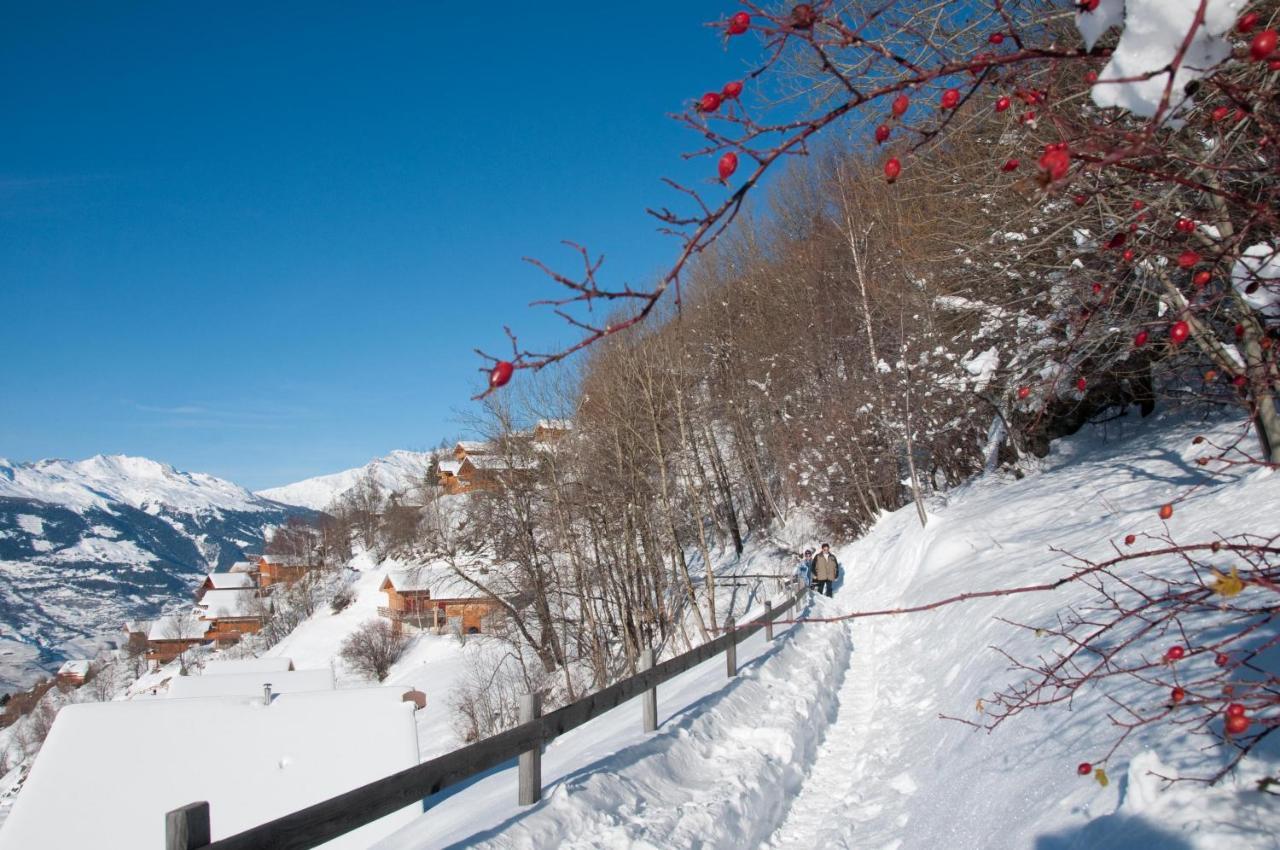 Pracondu 1 Outdoor & Fun Appartement 1 Chambre Superieur Avec Balcon By Alpvision Residences Nendaz Zewnętrze zdjęcie