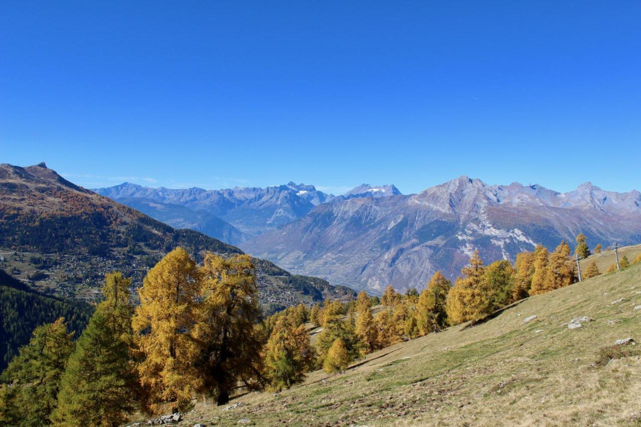Pracondu 1 Outdoor & Fun Appartement 1 Chambre Superieur Avec Balcon By Alpvision Residences Nendaz Zewnętrze zdjęcie