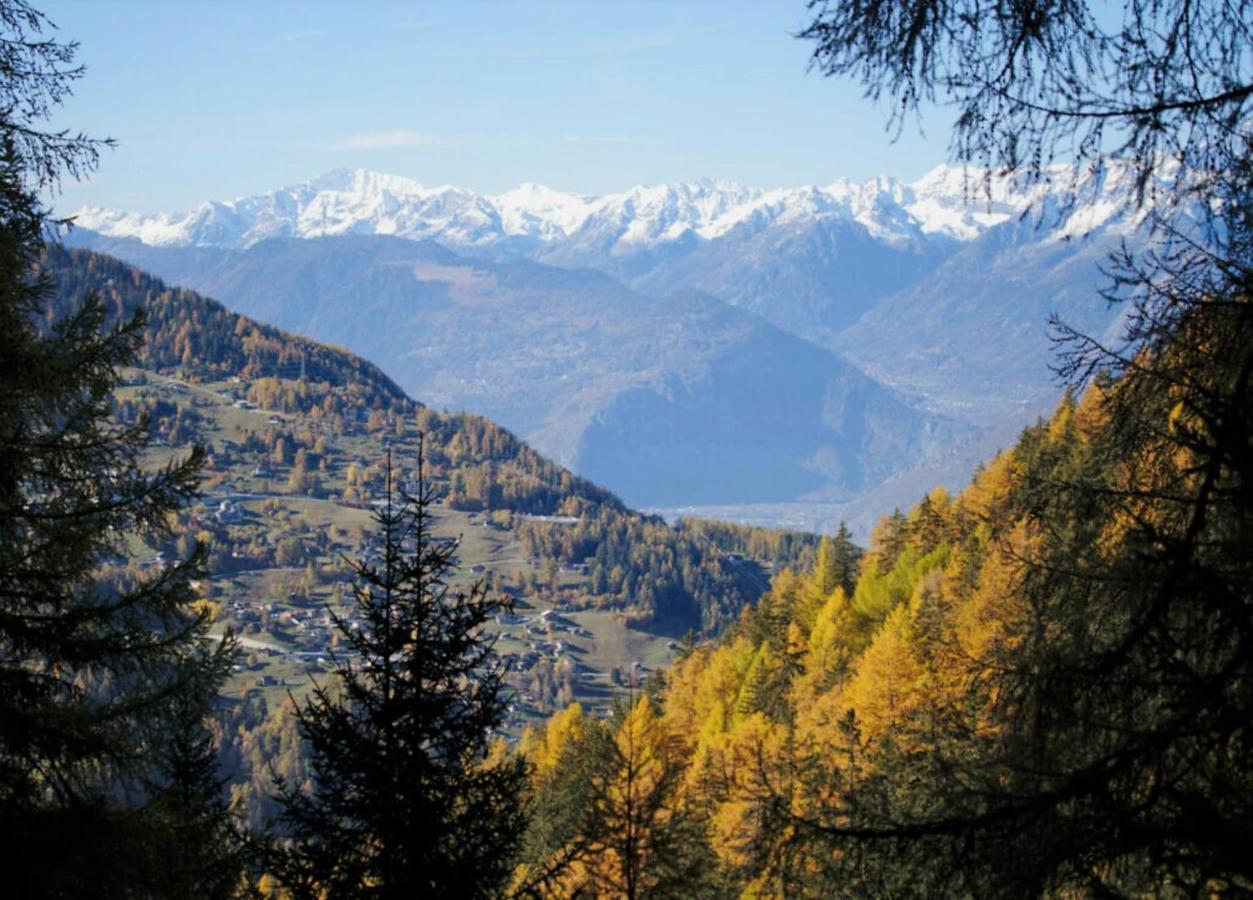 Pracondu 1 Outdoor & Fun Appartement 1 Chambre Superieur Avec Balcon By Alpvision Residences Nendaz Zewnętrze zdjęcie