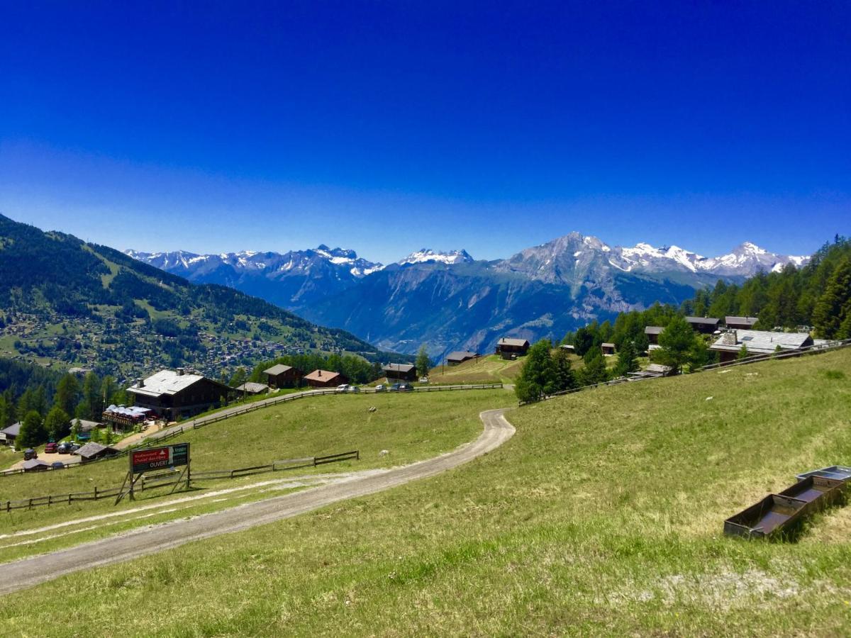 Pracondu 1 Outdoor & Fun Appartement 1 Chambre Superieur Avec Balcon By Alpvision Residences Nendaz Zewnętrze zdjęcie